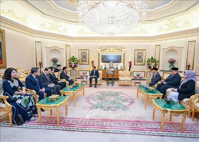 NA Vice Chairman meets with Sultan, Speaker of Legislative Council of Brunei – Viet Nam News